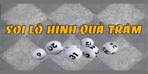 Các cách soi cầu quả trám hiệu quả bạn nên biết